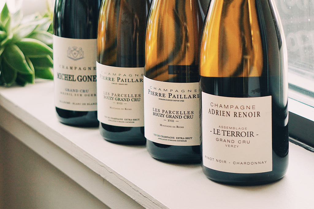 Four bottles of champagne on a windowsill with plants in the background