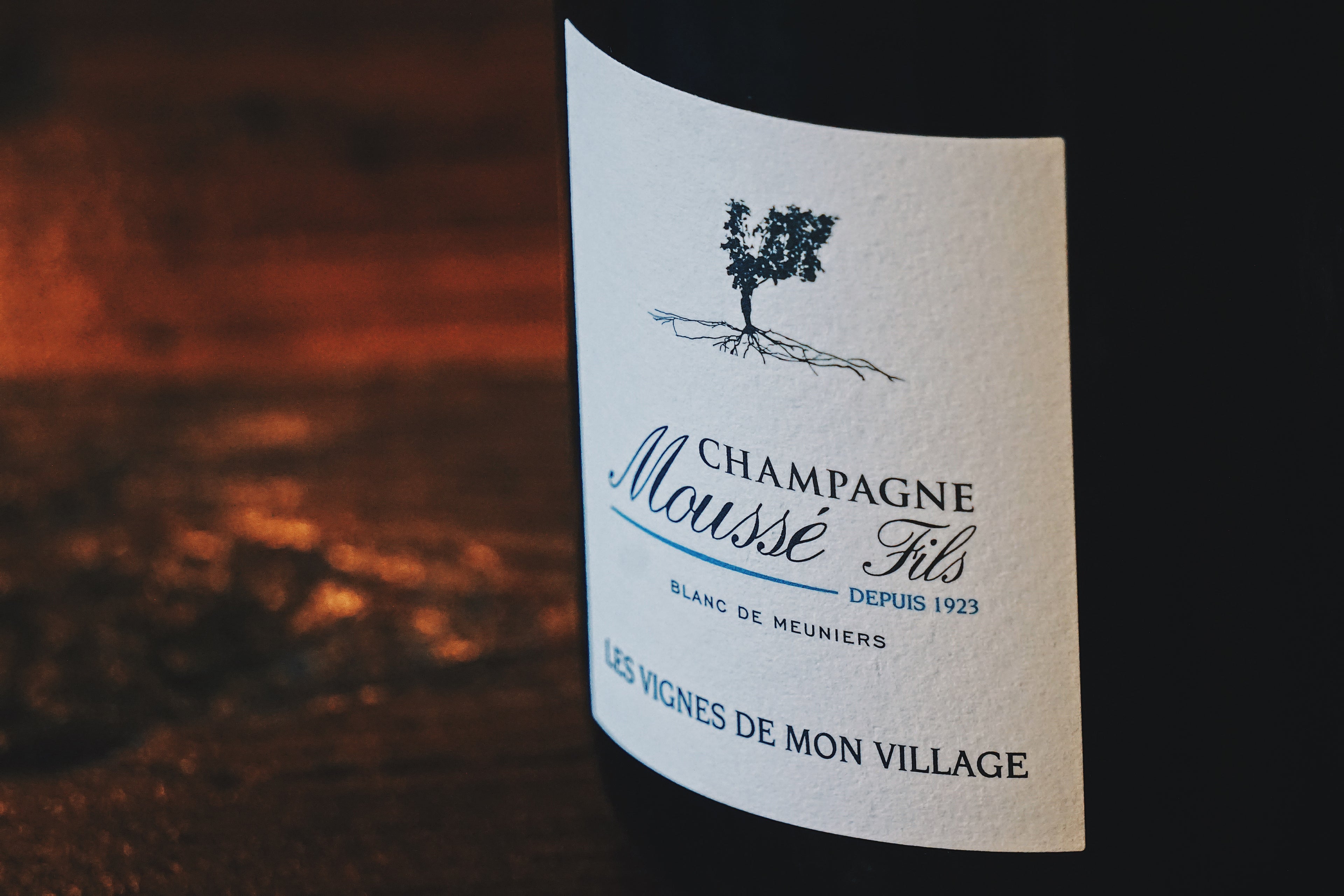 Artistic close-up of Champagne Mousse Fils bottle label with a blurred background