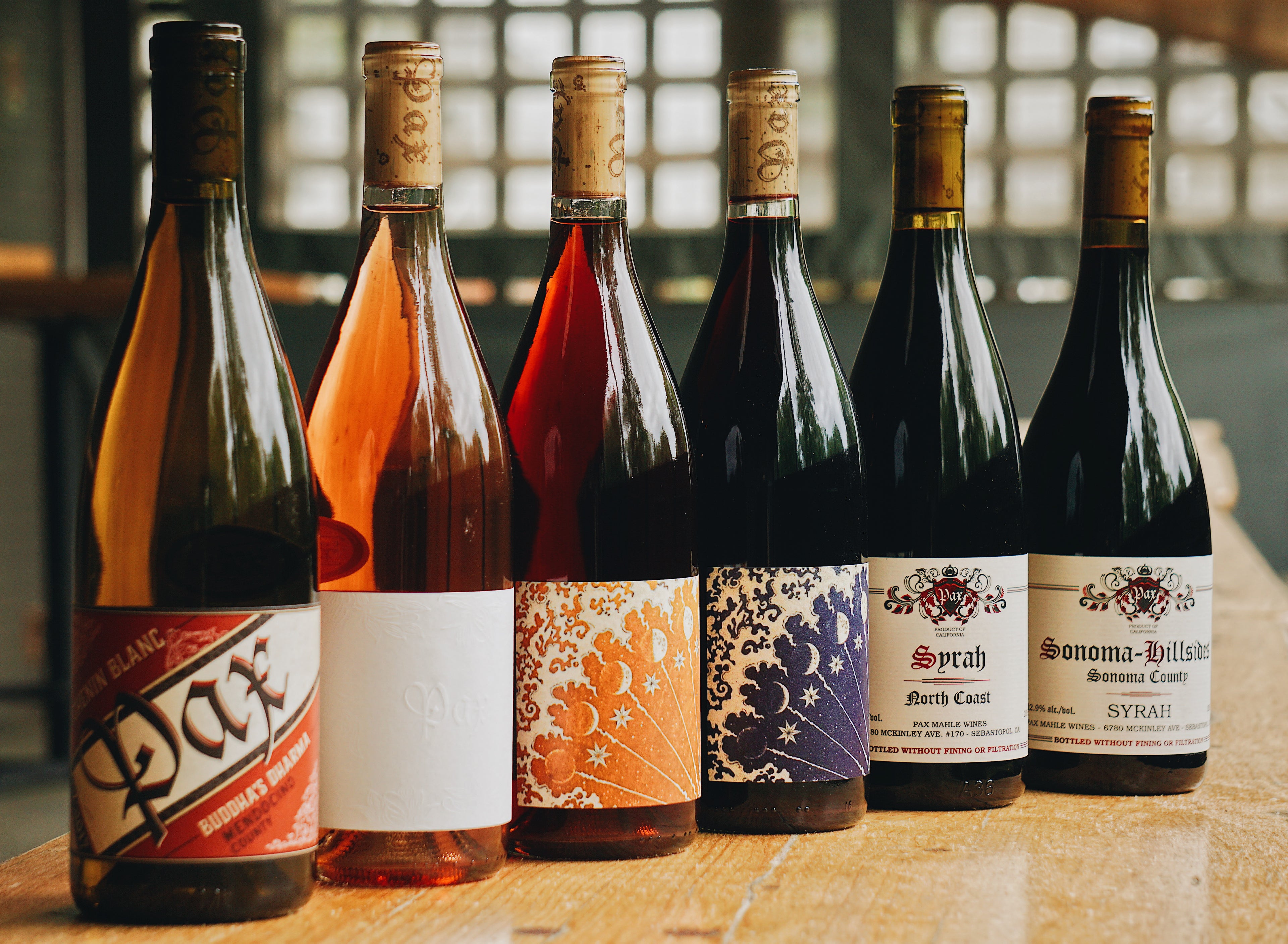 A stunning panoramic lineup of Pax Wines, showcasing a colorful spectrum from crisp whites and textured orange skin-contact wines to deep, cool-climate Syrahs and reds.